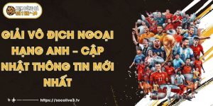 Giải Vô Địch Ngoại Hạng Anh – Cập Nhật Thông Tin Mới Nhất