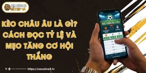 Kèo Châu Âu Là Gì? Cách Đọc Tỷ Lệ Và Mẹo Tăng Cơ Hội Thắng